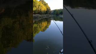 Kayak Bass Fishing 1 [upl. by Dode105]