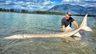 Ich fange den größten Fisch der Welt im Süßwasser [upl. by Mickelson]