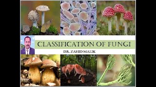 Classification of Fungi Part 1 Phylum Chytridiomycota by Dr Zahid [upl. by Mharba]