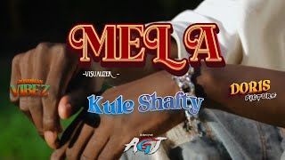 Mela  Kule Shafty  visualizer video [upl. by Amol548]