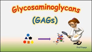 Why Glycosaminoglycans  GAGs are Essential for Your Health [upl. by Yllim]