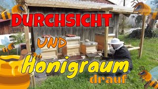 Durchsicht und Honigräume aufsetzen  auf in die Frühtracht [upl. by Novek342]