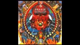 Full Album Praxis  Transmutation [upl. by Cardon952]