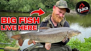 River Severn barbel fishing with NEW pellets [upl. by Litta]