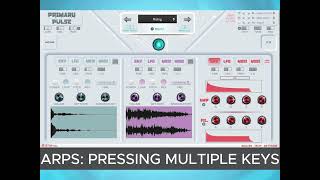 New Expansion for Primary Pulse vst  Calculated  Pattern Creating Plugin [upl. by Nerej504]