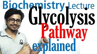 Glycolysis biochemistry [upl. by Ahsiem166]