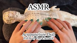 ASMR Full Body Tap amp Scratch On The Acupuncture Doll No Talking [upl. by Robinson]