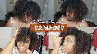 How I Recover from Damaged quotNatural Hairquot  ApHogee TwoStep Protein Treatment [upl. by Dulcia]