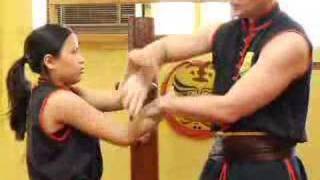 Wing Chun Sticky Hands Strikes  Chi Sau [upl. by Perren]