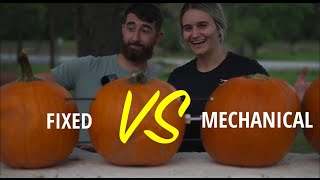 BROADHEAD TEST  Fixed VS Mechanical [upl. by Viveca]