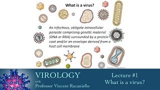 Virology 2014 lecture 1  What is a virus [upl. by Ahsiemat]