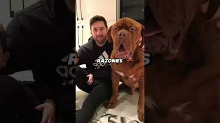 ⚽ ¡Messi abandonó a su perro en Europa 😭  fútbol 283 [upl. by Hajin748]