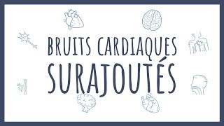 Sémiologie Cardiaque  Bruits surajoutés pathologiques [upl. by Cotter874]