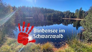 Blindensee Traumtour im Schwarzwald 4K 2021 Vlog 67 [upl. by Nirak]