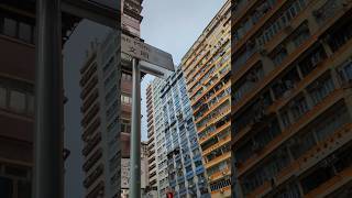 Yau Ma Tei 油麻地 hongkong 2092024 [upl. by Lamej359]