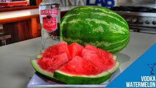 Easy Vodka Infused Watermelon Recipe The Ultimate Summer Treat Popular [upl. by Tierza]