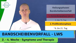 Bandscheibenvorfall Lendenwirbelsäule LWS  Heilung Teil 2 von 3 [upl. by Anitahs]