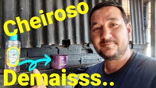 O melhor cheirinho ou aromatizante para carros [upl. by Edia]