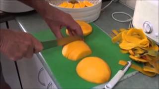 Dehydrating Mangoes [upl. by Venetia]