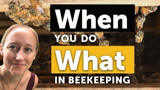 BEEKEEPING 101 WHEN TO DO EVERYTHING Feeding Harvesting Splitting Swarming amp MORE [upl. by Savvas904]