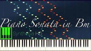 Liszt Piano Sonata in B minor [upl. by Nysilla]