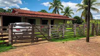 Fazenda a venda em Minas Gerais na cidade de Unaí MG⚠️Vendida [upl. by Assenev]