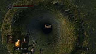 Dark Souls Secret Shortcut In Firelink Shrine [upl. by Kendrah]