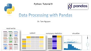 Python Tutorial 9 Data processing read write subset statistics plot with Pandas [upl. by Nnyltiac]