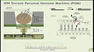 NextGeneration Sequencing Technologies  Elaine Mardis 2012 [upl. by Kent]