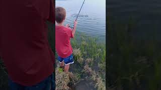 Light Tackle Topwater Striped Bass fishing stripedbass saltwaterfishing [upl. by Yelhs]