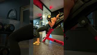 Incline DB Bicep Curls Supine [upl. by Ramraj]