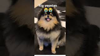 Rip our yeontab  dec 2 😭😭 sad bts rip 😭😭 [upl. by Enneiluj762]