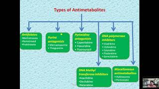 Anticancer Antimetabolites agent Medicinal Chemistry [upl. by Arrais]