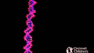 Inhibitors of Nucleic Acid Synthesis [upl. by Aneba]