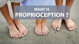 What is Proprioception [upl. by Ecinom773]