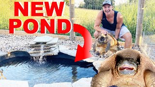 Building FOUR NEW Turtle Ponds For My Pet Snapping Turtles DIY [upl. by Bohon]