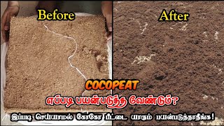 💥 Cocopeatஐ என்ன பண்ணுனேன் 🤔 How to use Cocopeat⁉️  Government Terrace Garden kit [upl. by Ree139]