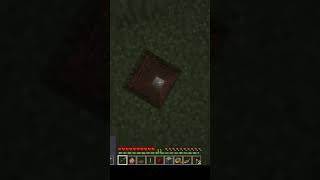 Minecraft is a horror game [upl. by Ayatahs]