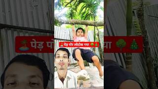 🌳पेड़ पोर लोटोक गया🙆‍♀️ shortytshorts kides kiddies shortvideos kide video kidesshort [upl. by Fem267]