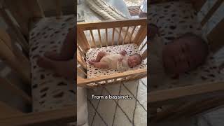 A bassinet crib and junior bed allinone 🤩 feat our Yuzu 8in1 Crib [upl. by Gnoix]