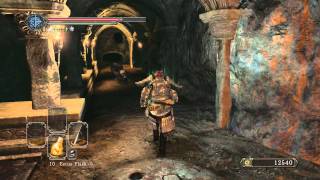 Dark Souls 2  All Bonfire Locations Part 2 of 2 [upl. by Jaquelyn]