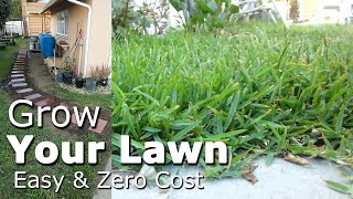 Cheap Way to Grow Your Lawn Easy Low Cost Grass no Turf or Seeds [upl. by Ynafetse791]