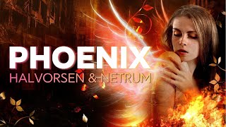 Phoenix Song by Netrum amp Halvorsen Lyrics ✨ [upl. by Arihsay432]