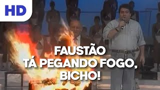 Faustão Tá pegando fogo bicho Domingão do Faustão [upl. by Auqinaj]