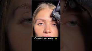 Cejas Perfectas  Laminado y Tinte de Cejas  Tutorial shorts Cejasperfectas cejashd [upl. by Ellennad632]