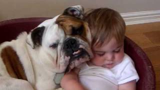 Bulldog and baby video [upl. by Aisetra487]