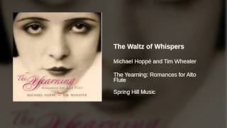 Michael Hoppé and Tim Wheater  The Waltz of Whispers [upl. by Toiboid]