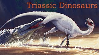 The Dinosaurs of the Triassic Period A Summary of the First Dinosaurs and their Rise to Dominance [upl. by Eltotsira]