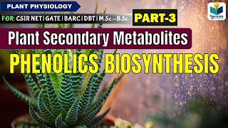 PLANTS SECONDARY METABOLITESPART3  PHENOLICS BIOSYNTHESIS CSIR NET [upl. by Hudgens]