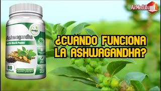 ¿Cuándo funciona la ashwagandha ashwagandha beneficios [upl. by Farley472]